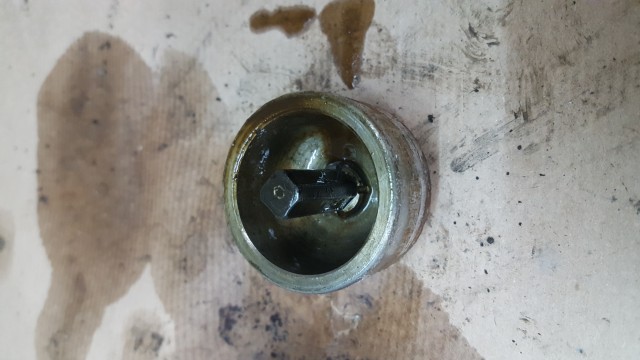 20190331_210059.jpg