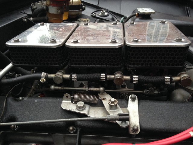 IMG_0557.JPG (1.6 MiB) Viewed 4717 times IMG_0557.JPG